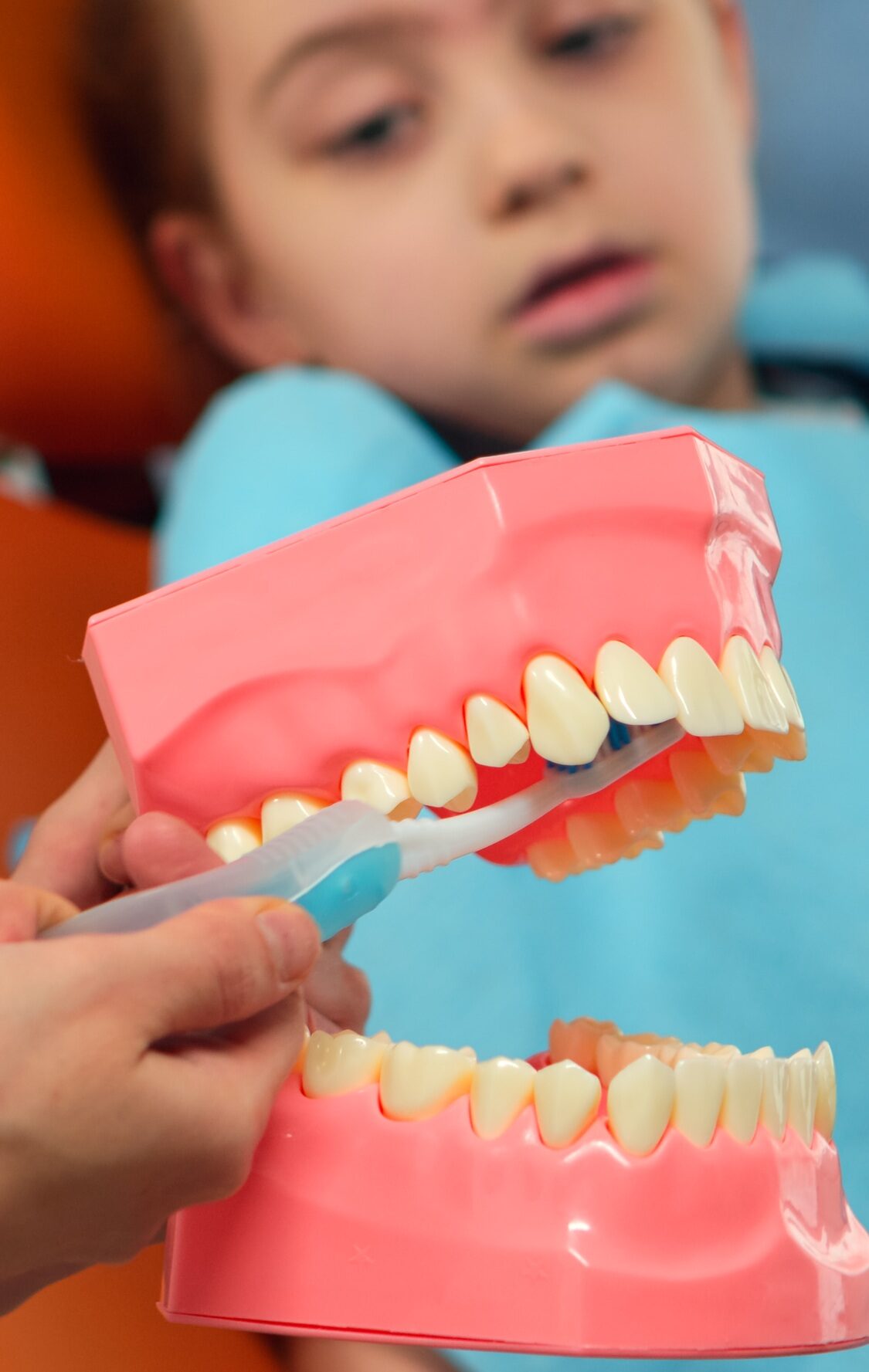 Pediatric dentist showing the correct dental hygiene using mock-up of skeleton
